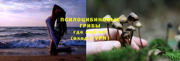 героин Алзамай