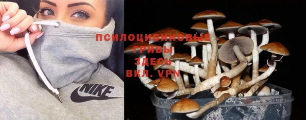 героин Алзамай